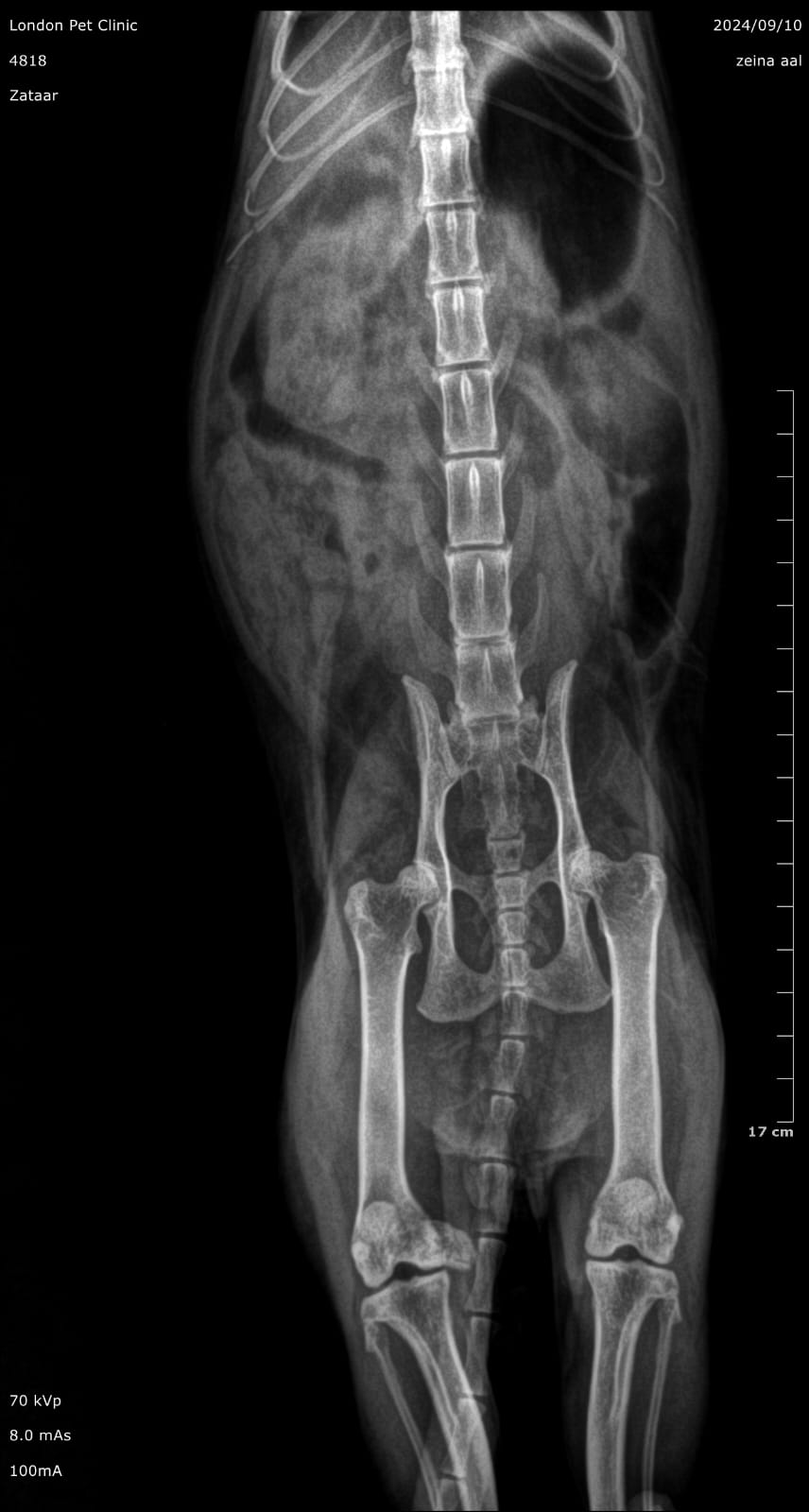 صورة المعرض