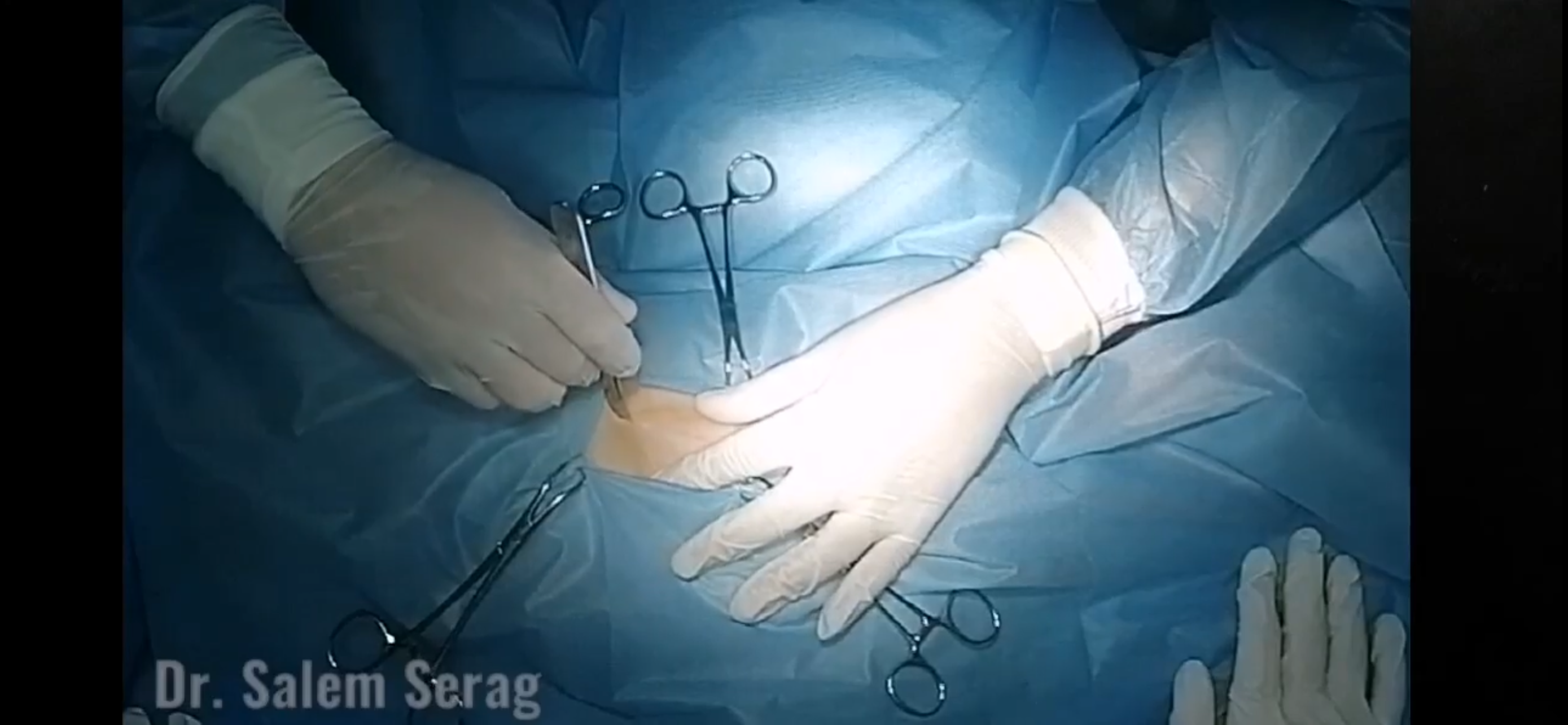 صورة المعرض