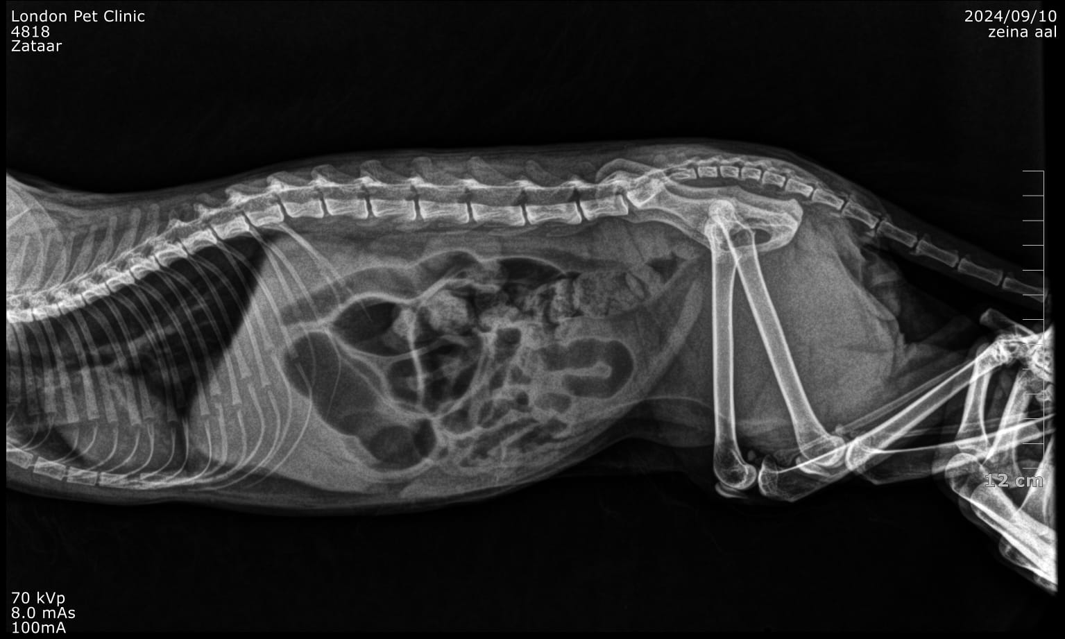 صورة المعرض