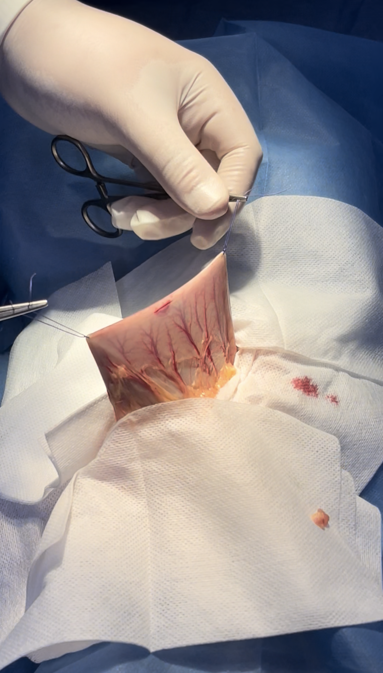 صورة المعرض