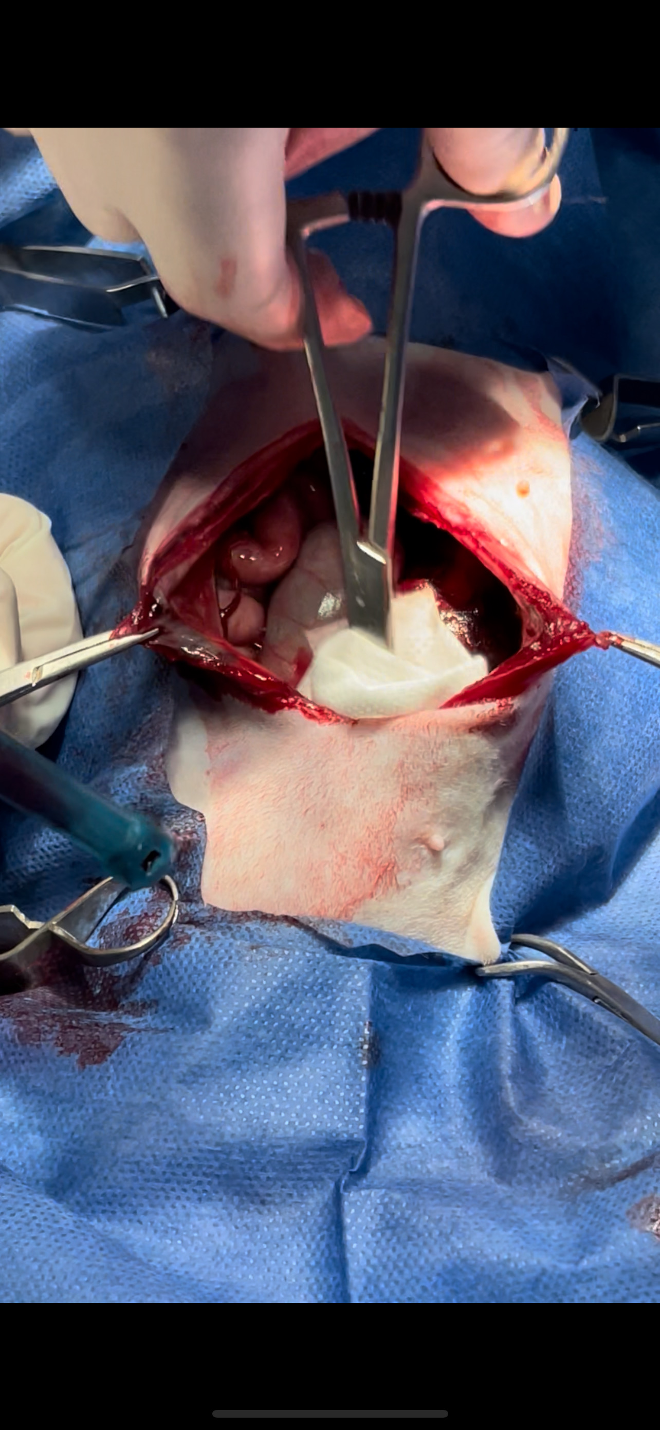 صورة المعرض