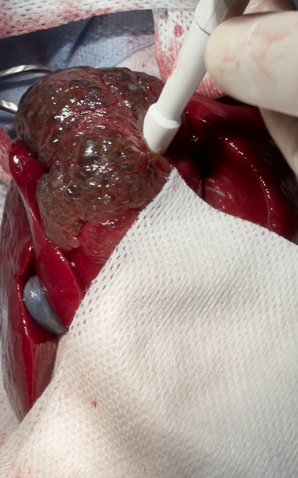 صورة المعرض