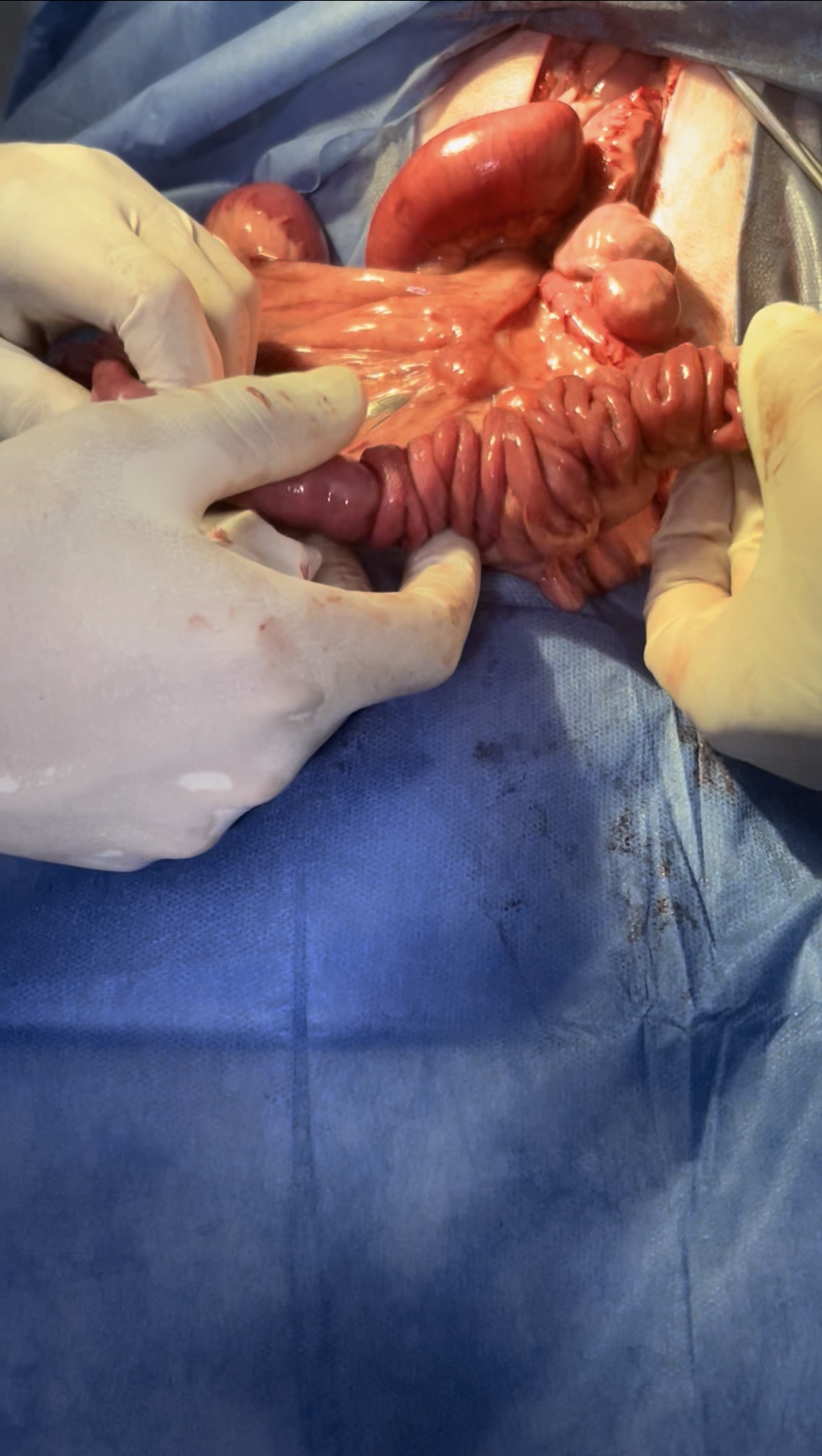 صورة المعرض