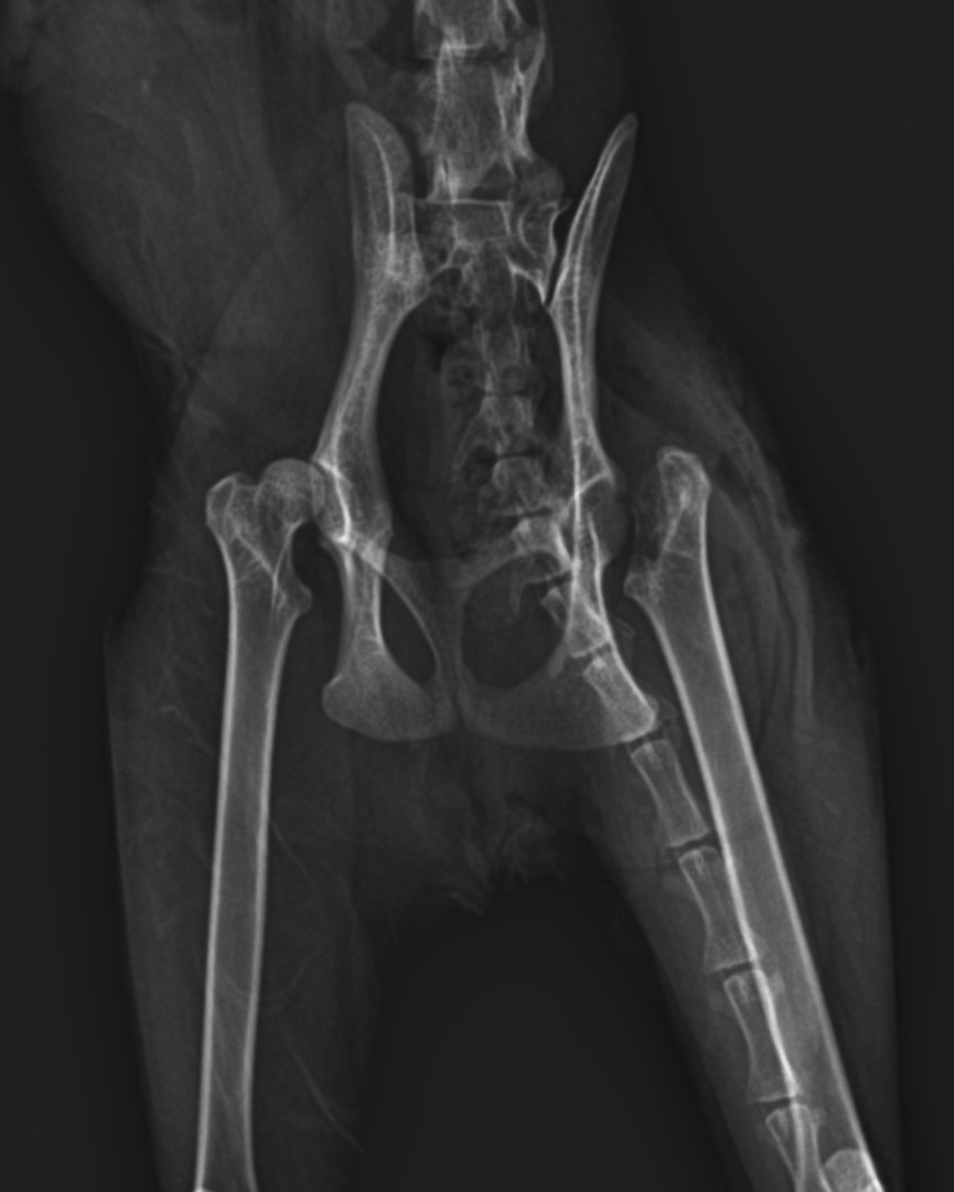 صورة المعرض