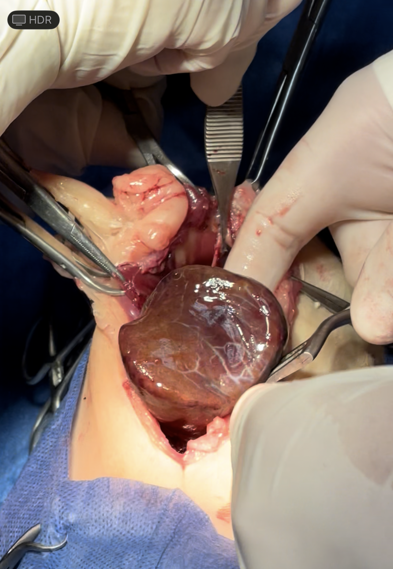 صورة المعرض