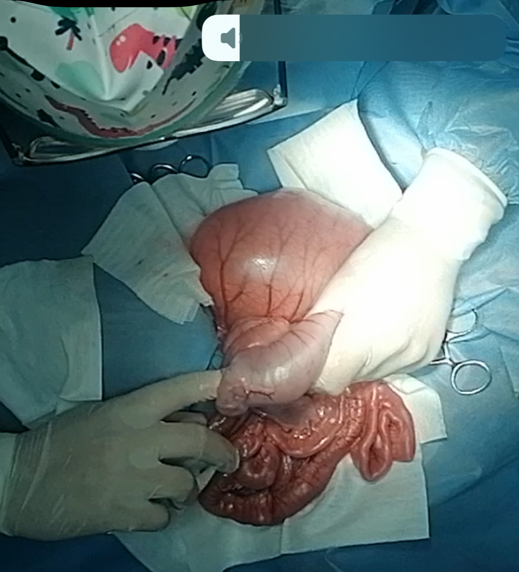 صورة المعرض