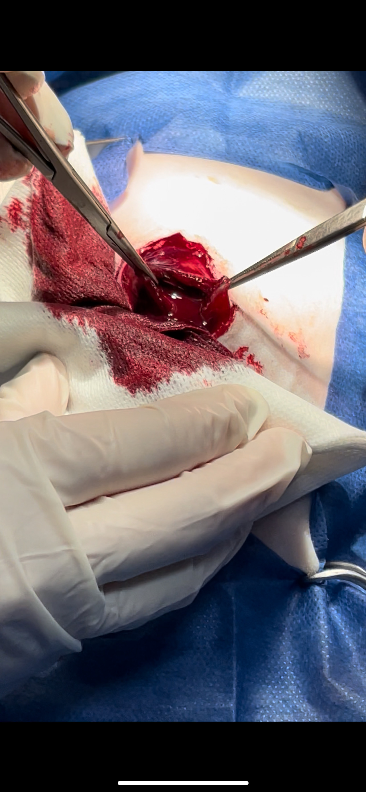 صورة المعرض