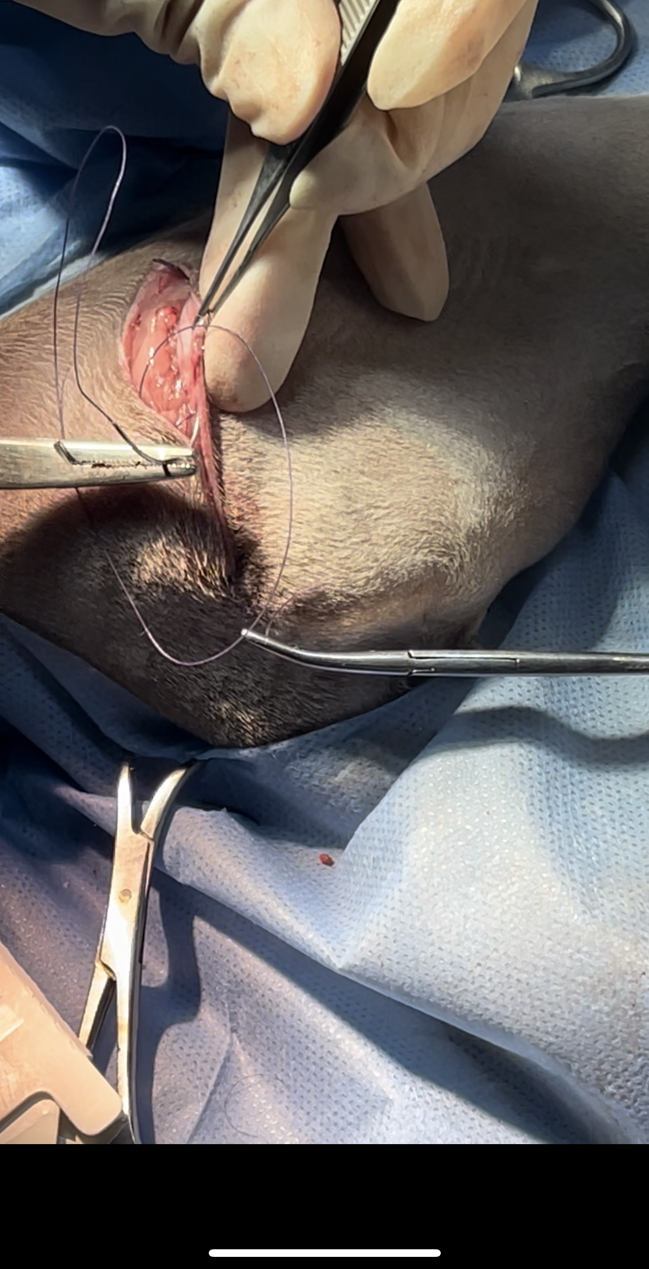 صورة المعرض