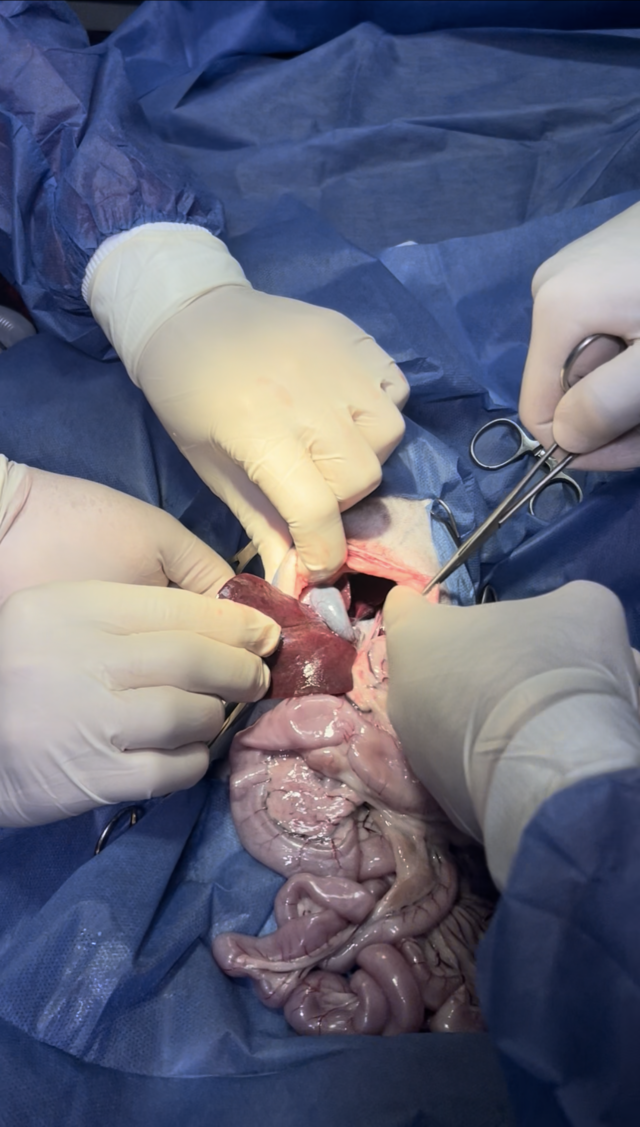 صورة المعرض