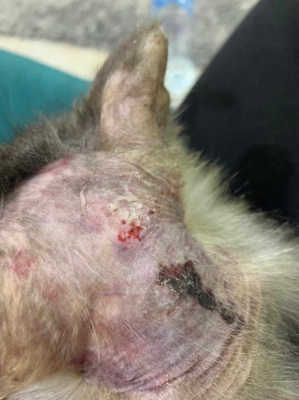 صورة المعرض