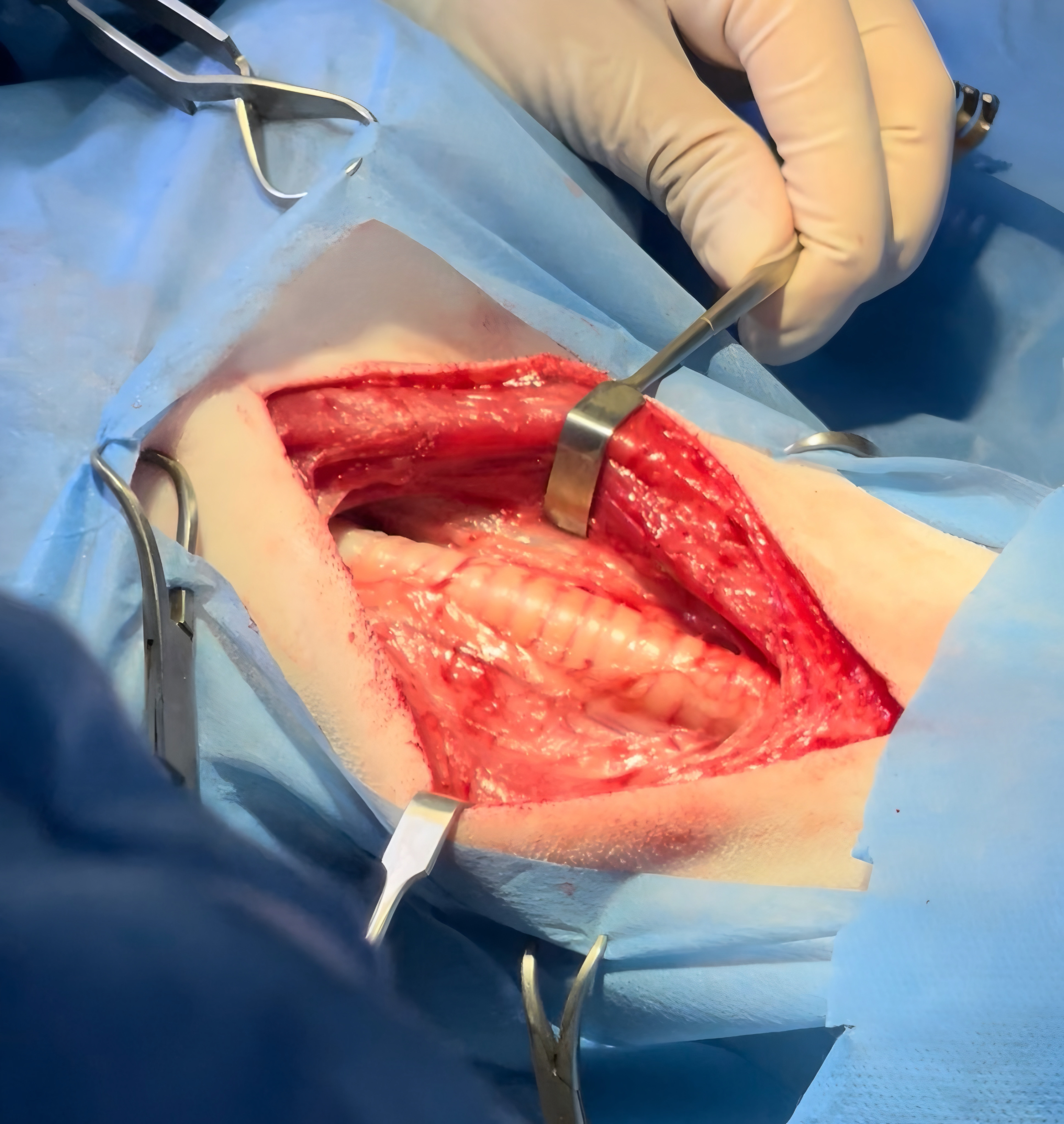 صورة المعرض