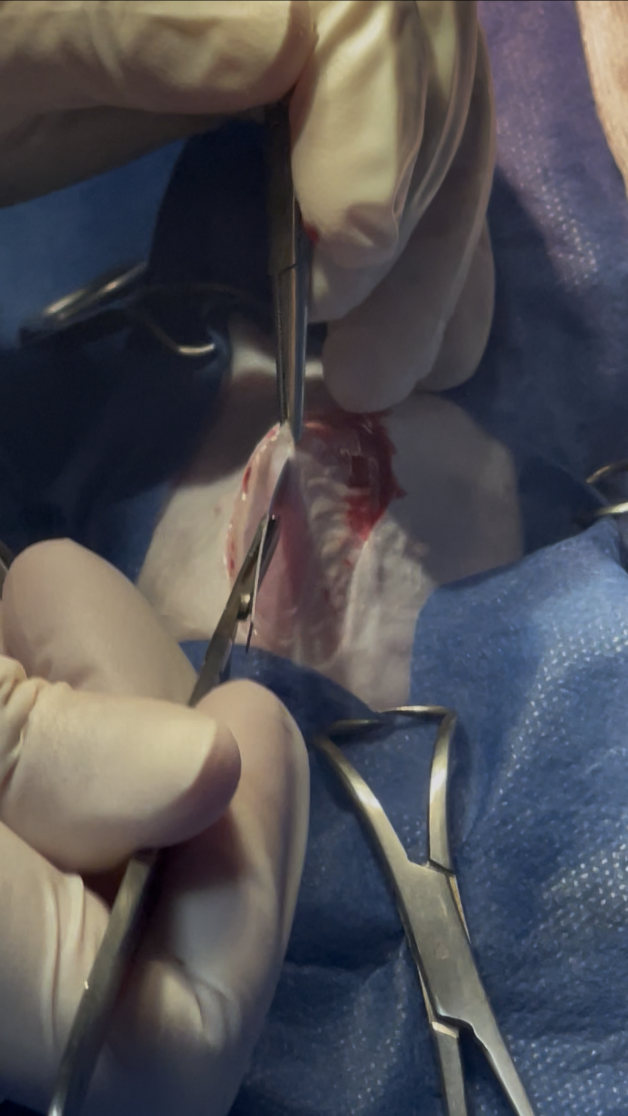 صورة المعرض