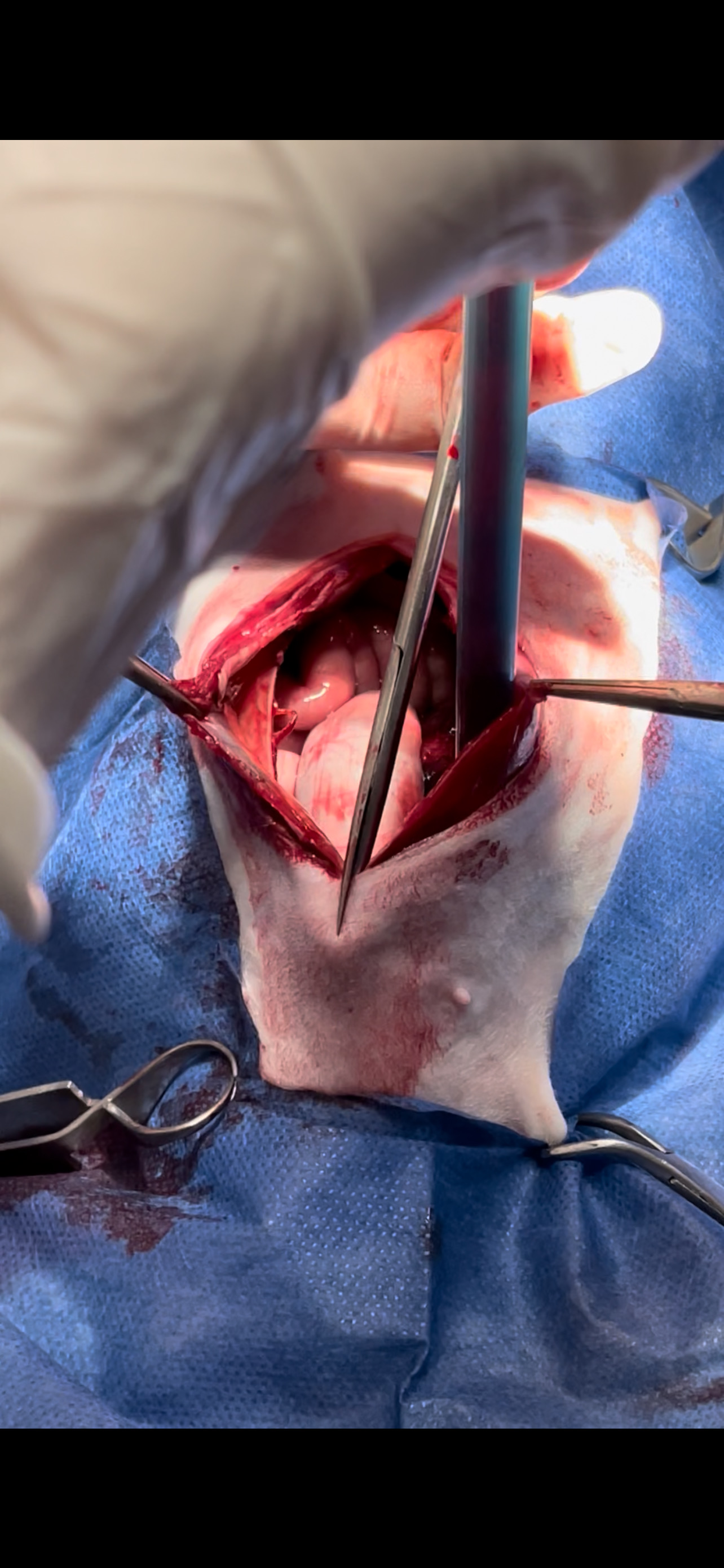 صورة المعرض