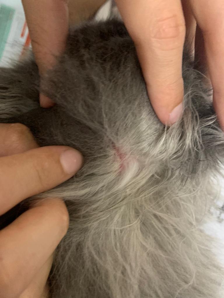 صورة المعرض