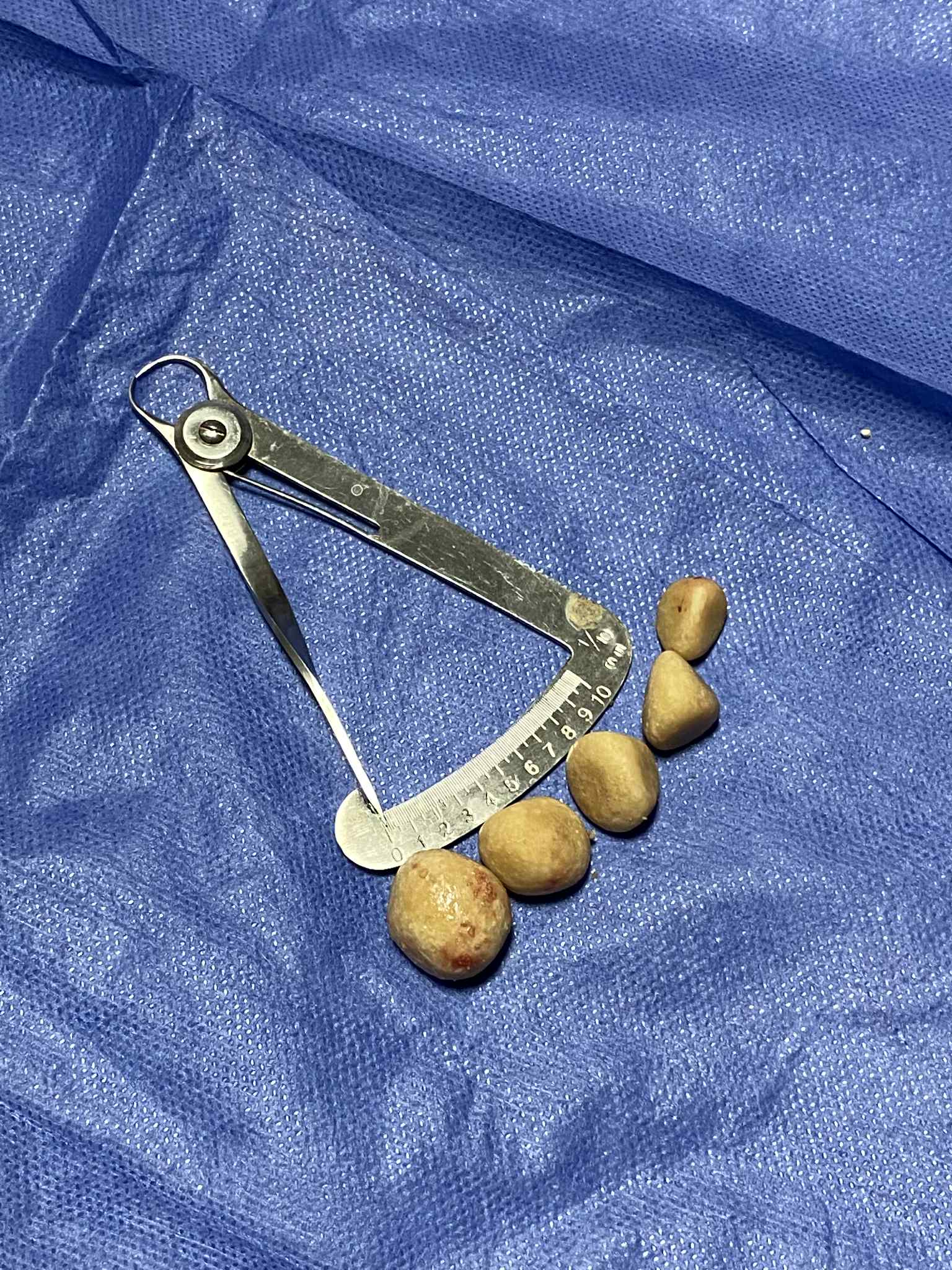 صورة المعرض