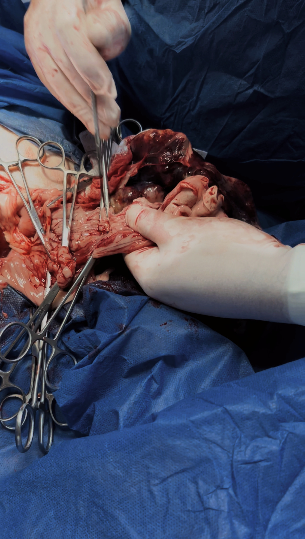 صورة المعرض