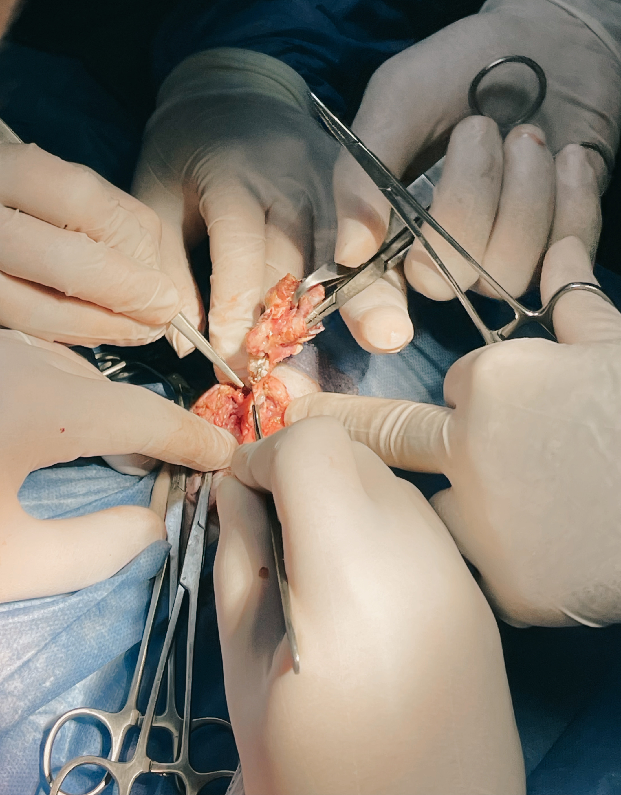 صورة المعرض