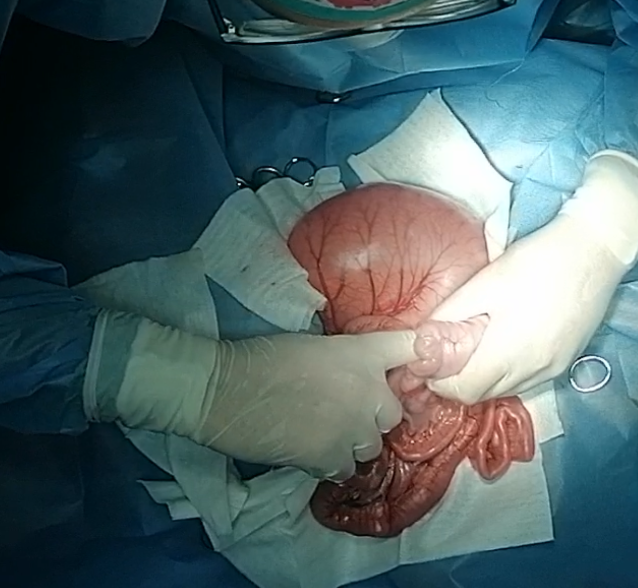 صورة المعرض