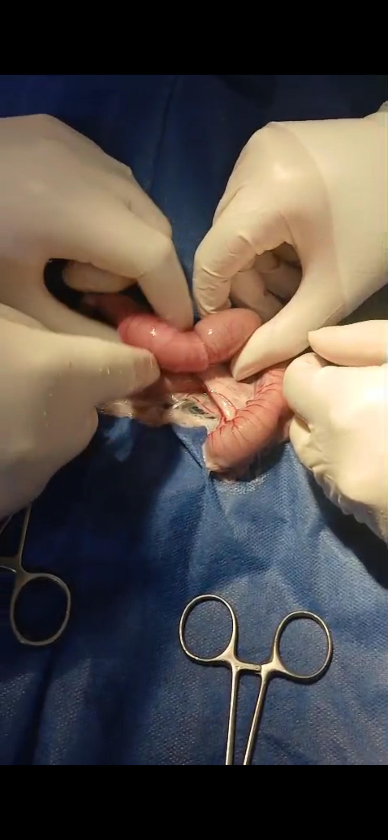 صورة المعرض