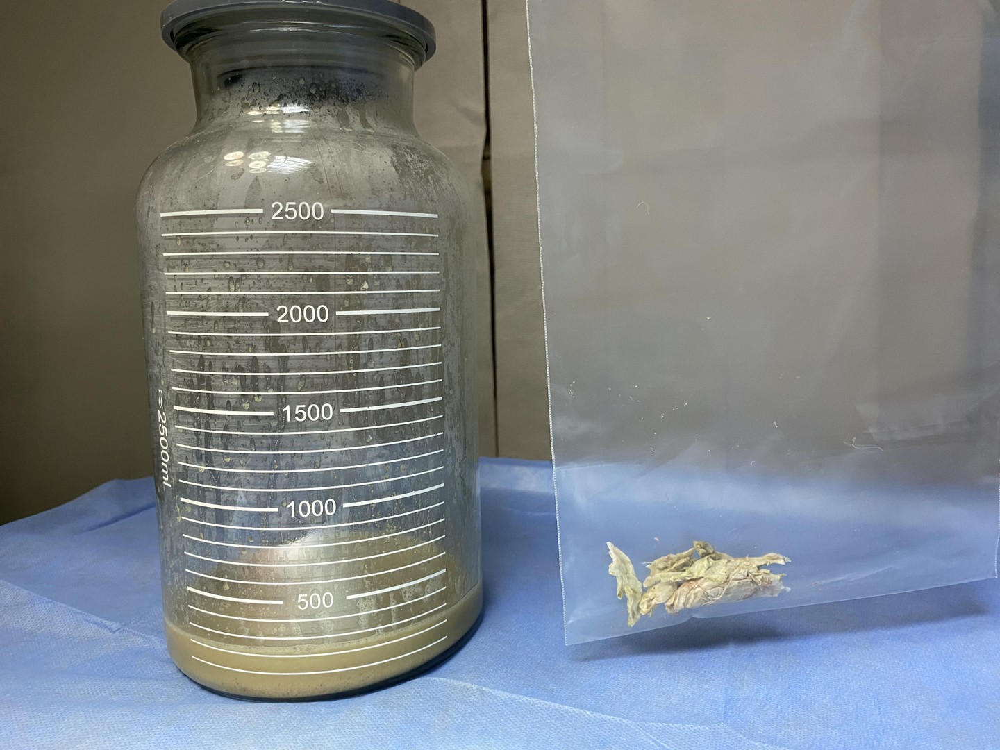 صورة المعرض