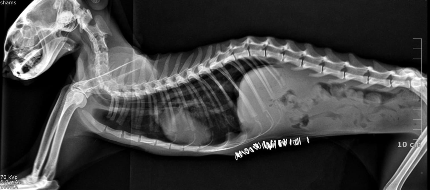 صورة المعرض