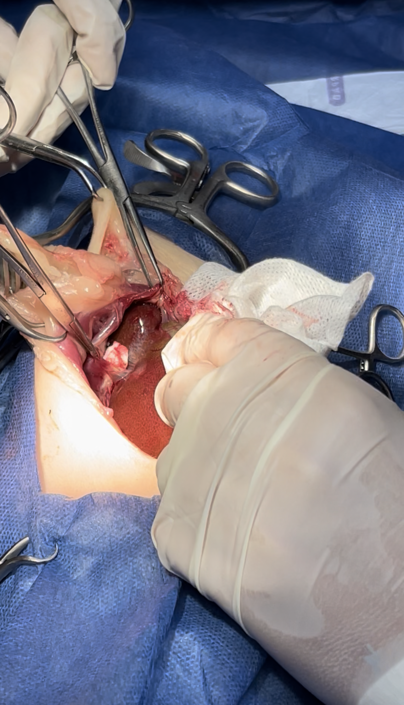 صورة المعرض