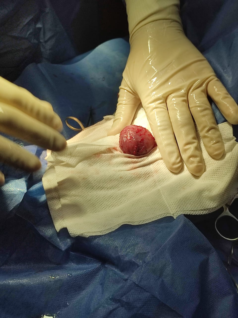 صورة المعرض