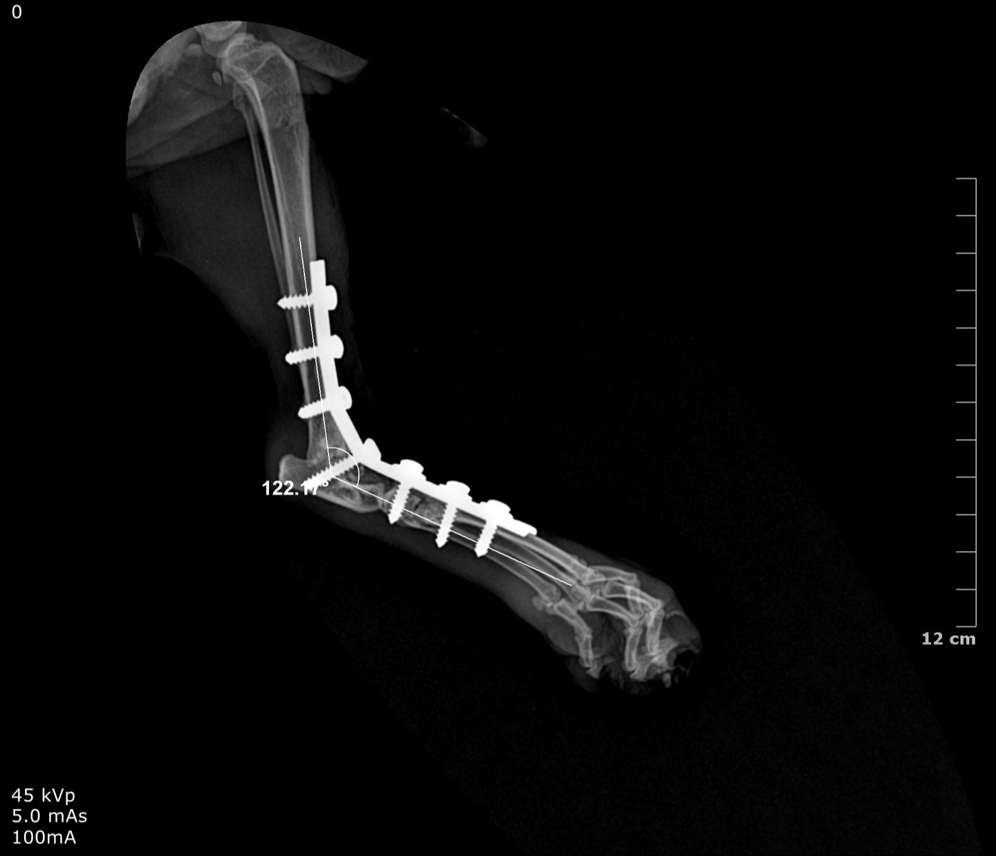 صورة المعرض