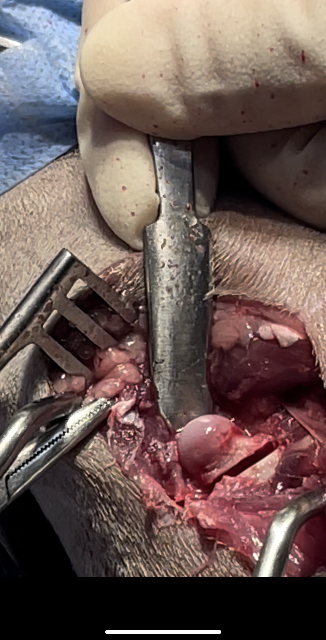 صورة المعرض