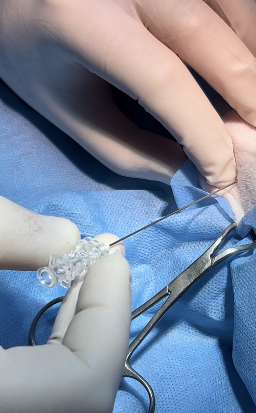 صورة المعرض