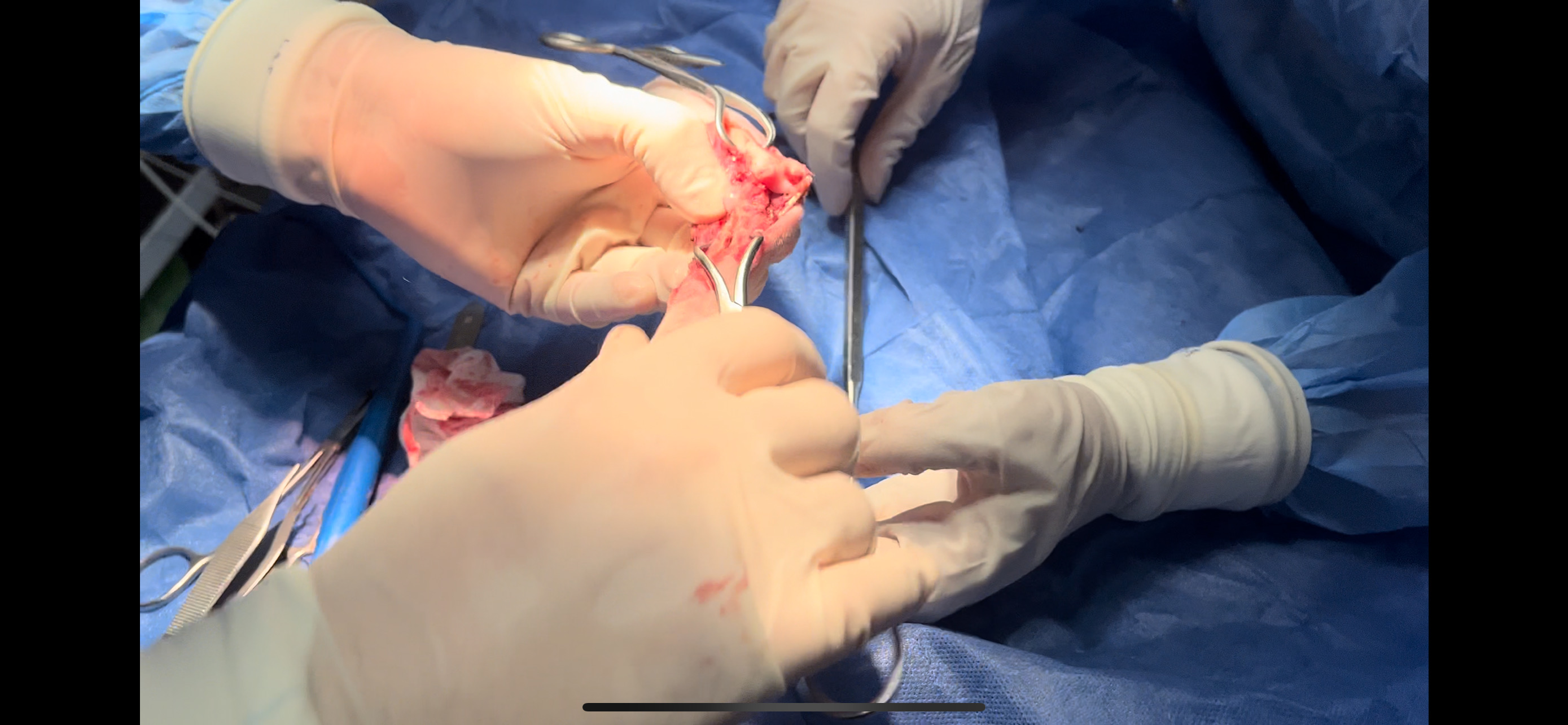 صورة المعرض