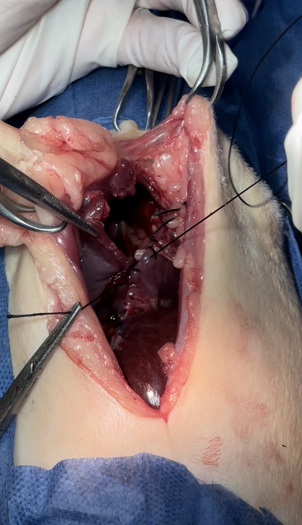 صورة المعرض