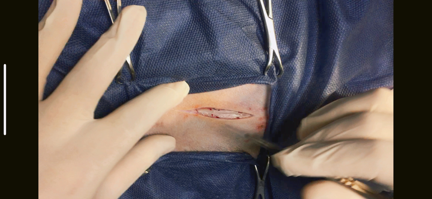 صورة المعرض