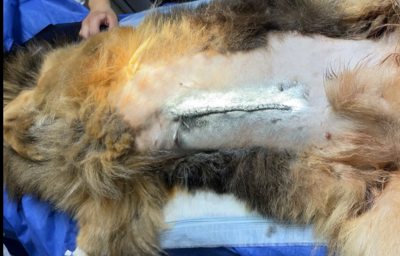 صورة المعرض