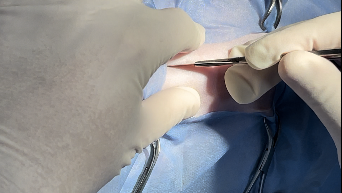 صورة المعرض