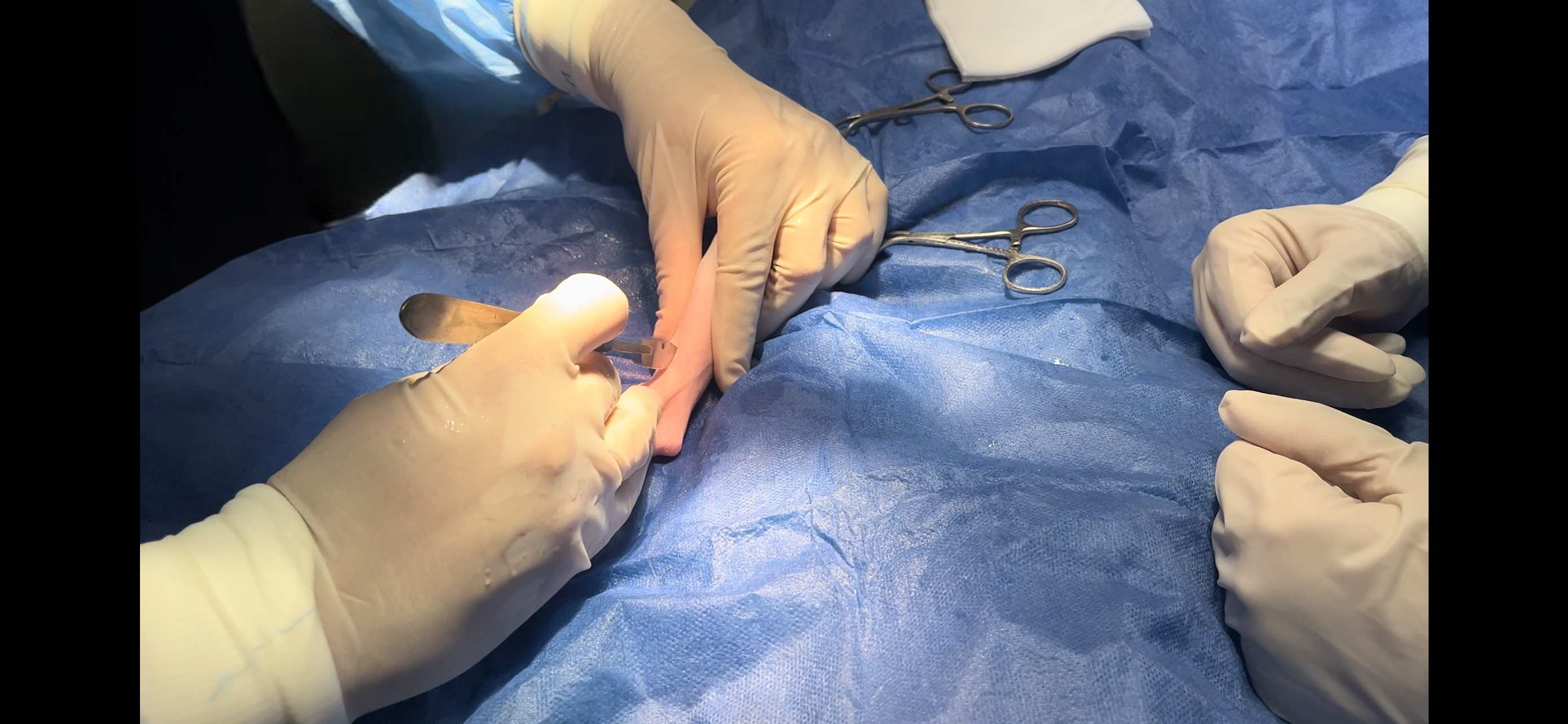 صورة المعرض