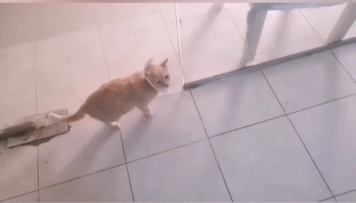 صورة المعرض