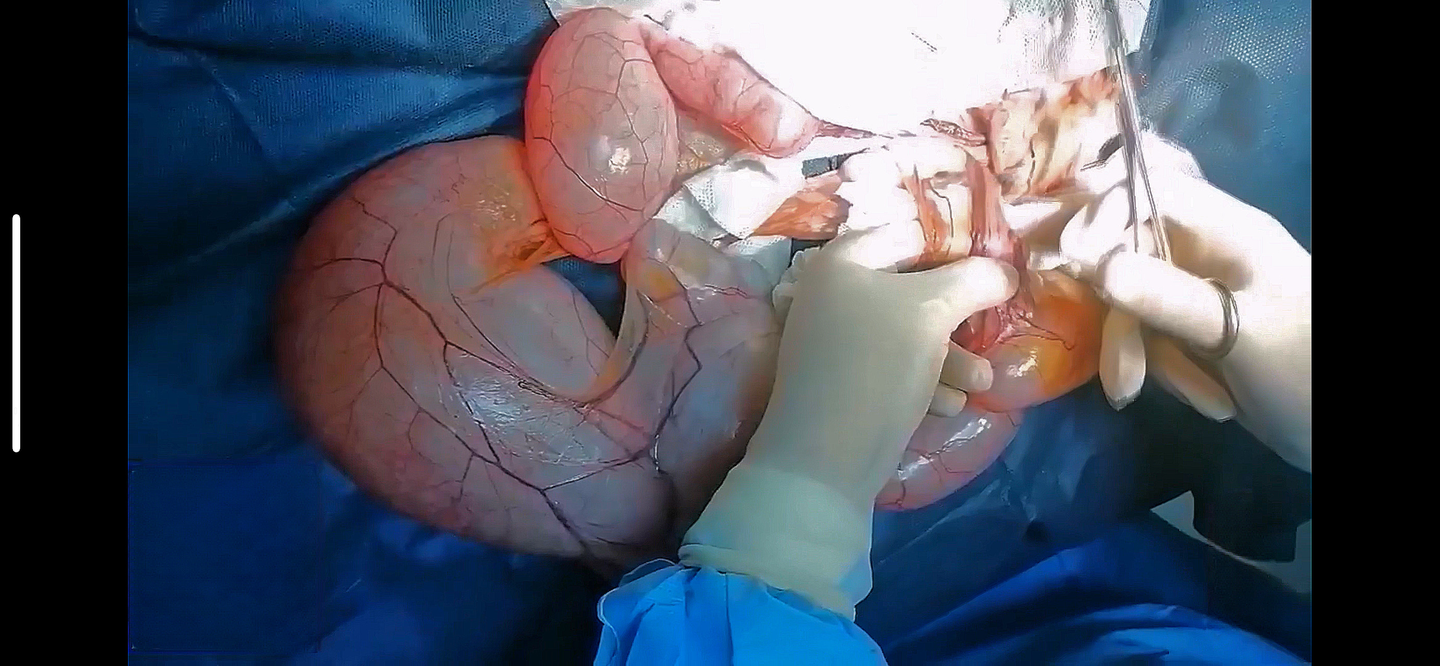 صورة المعرض