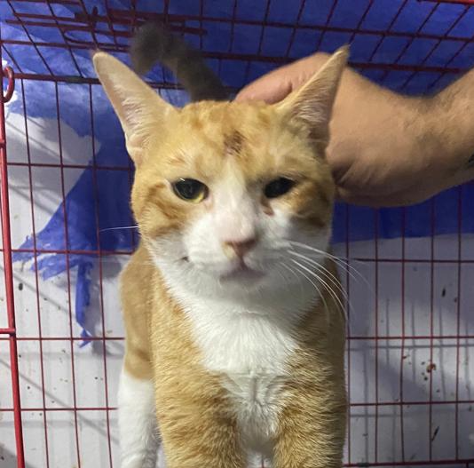 صورة المعرض