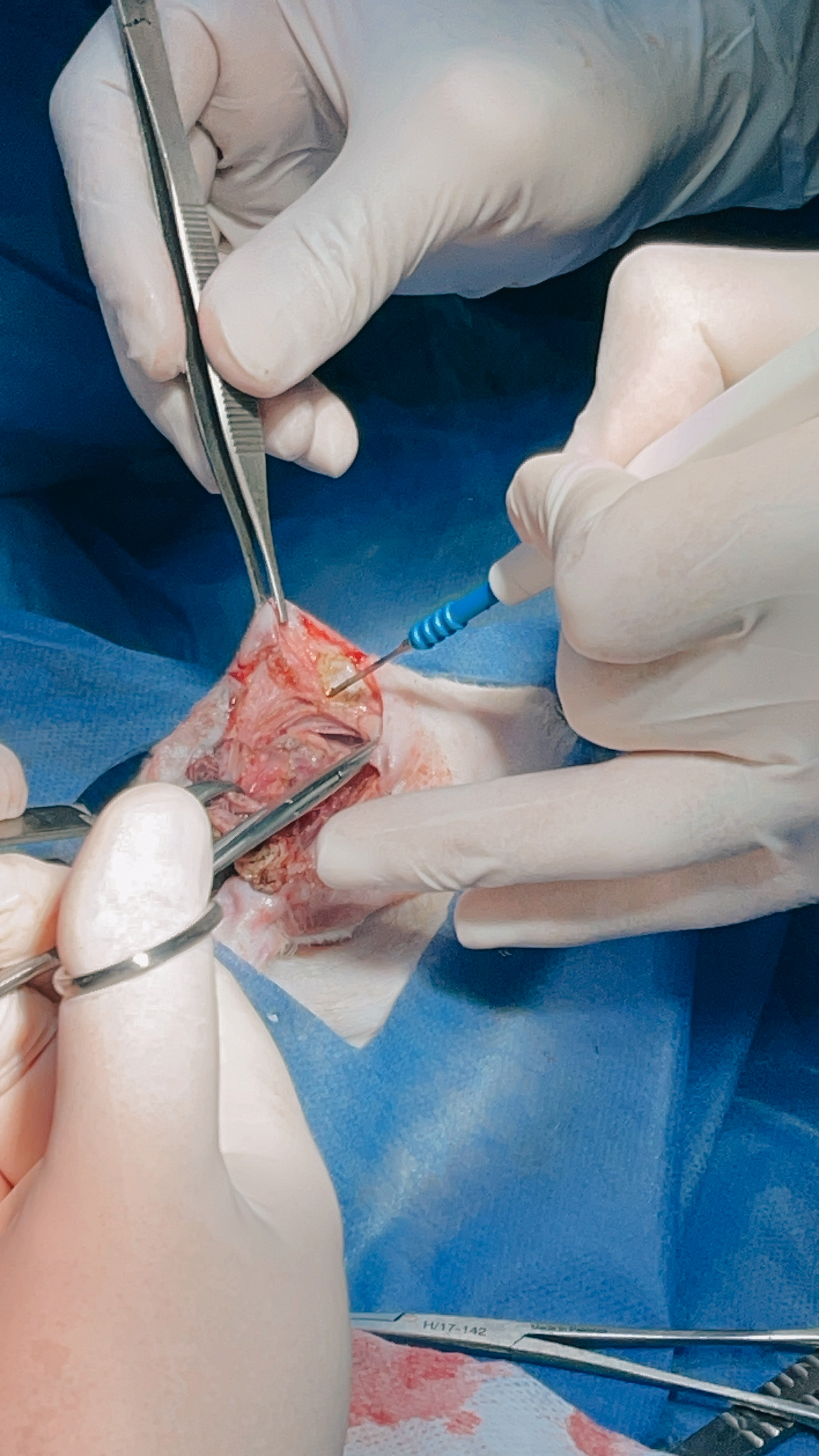 صورة المعرض