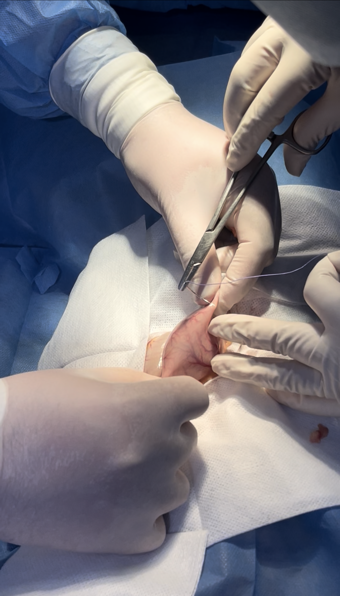 صورة المعرض