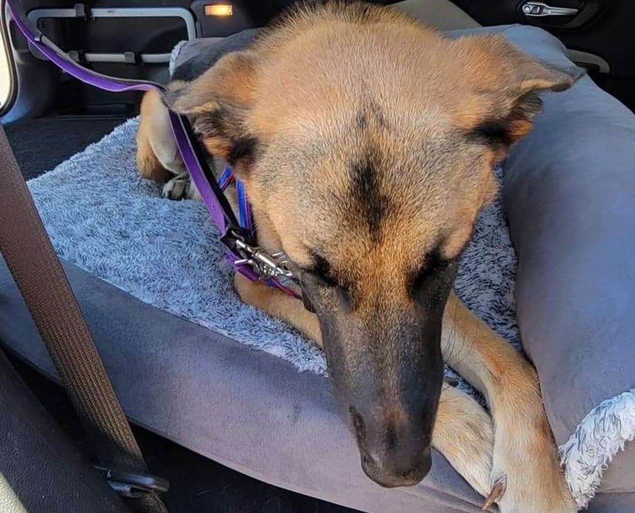 صورة المعرض