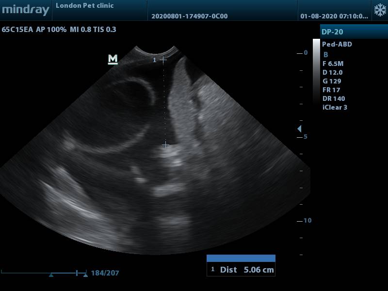 صورة المعرض
