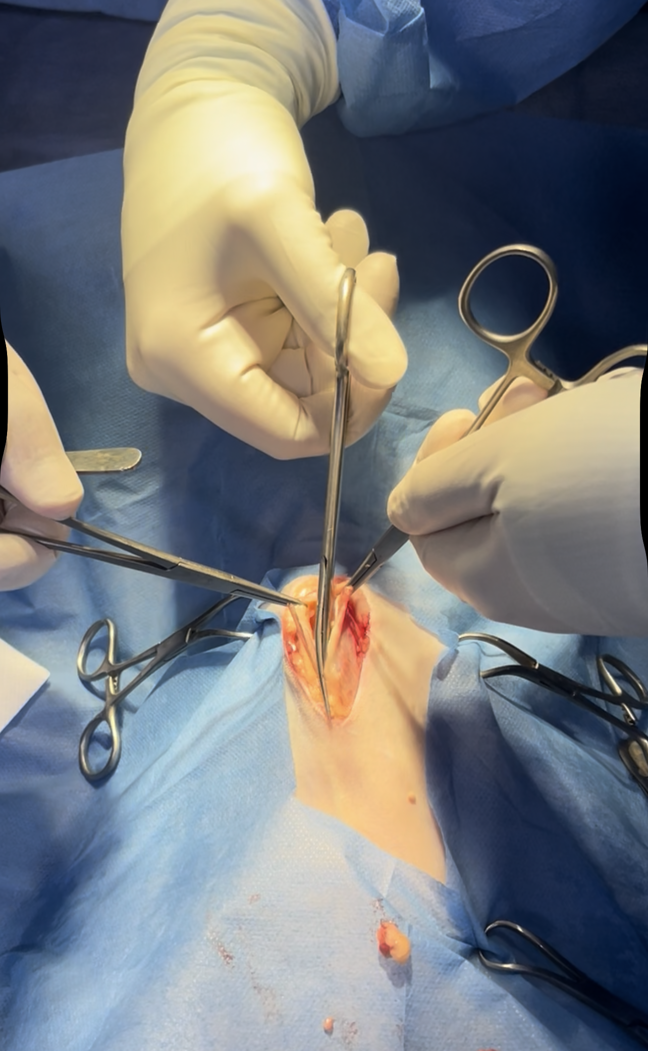 صورة المعرض