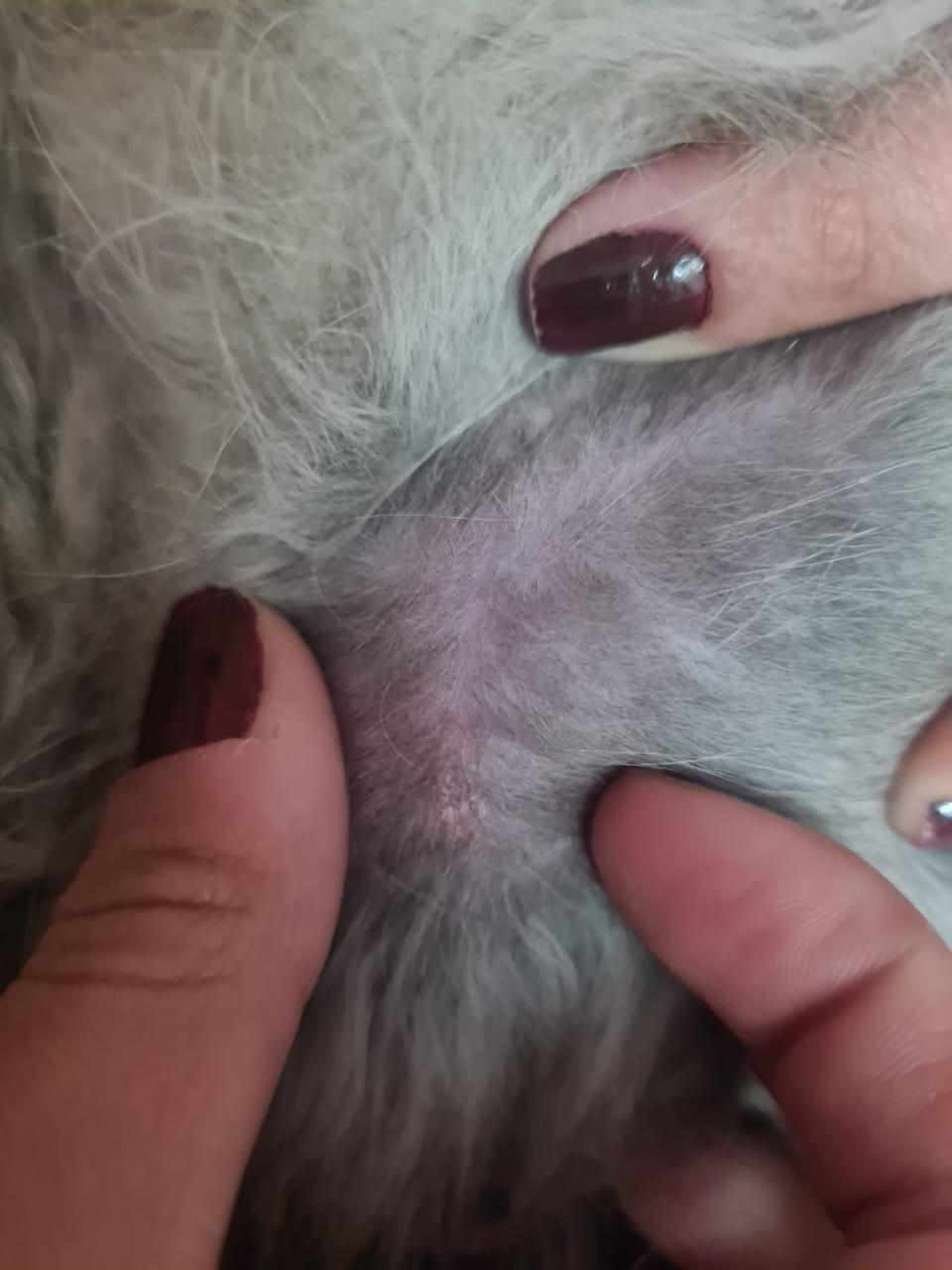 صورة المعرض