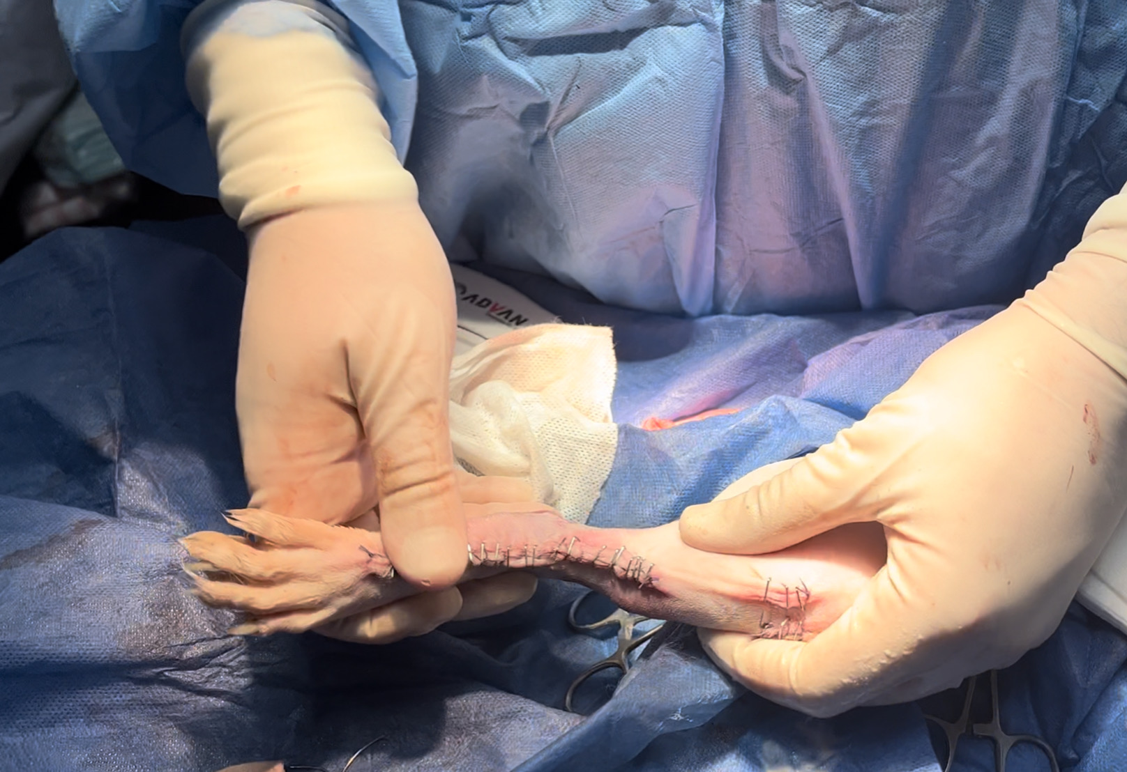 صورة المعرض