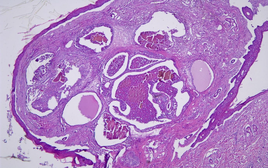 صورة المعرض