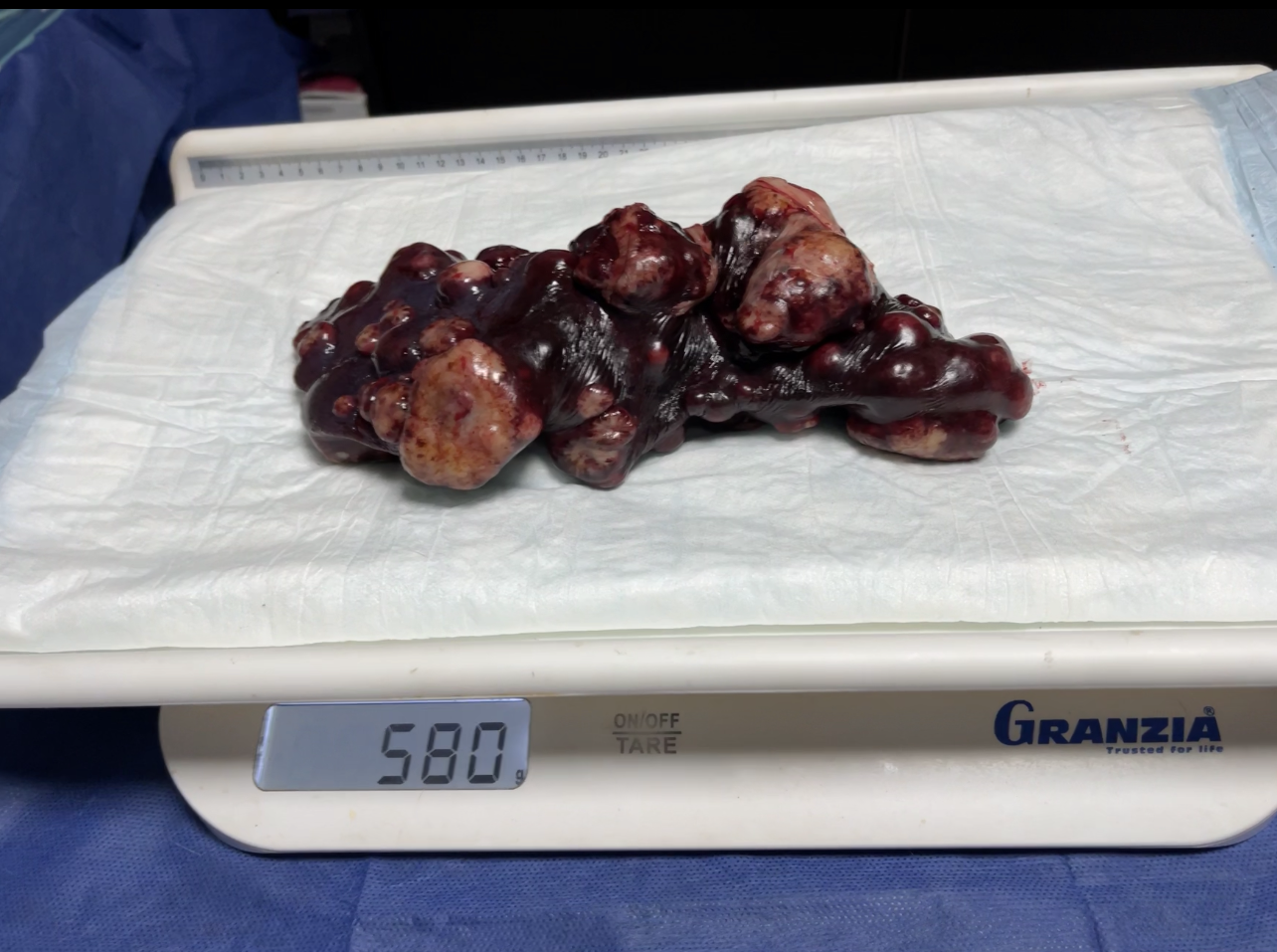 صورة المعرض