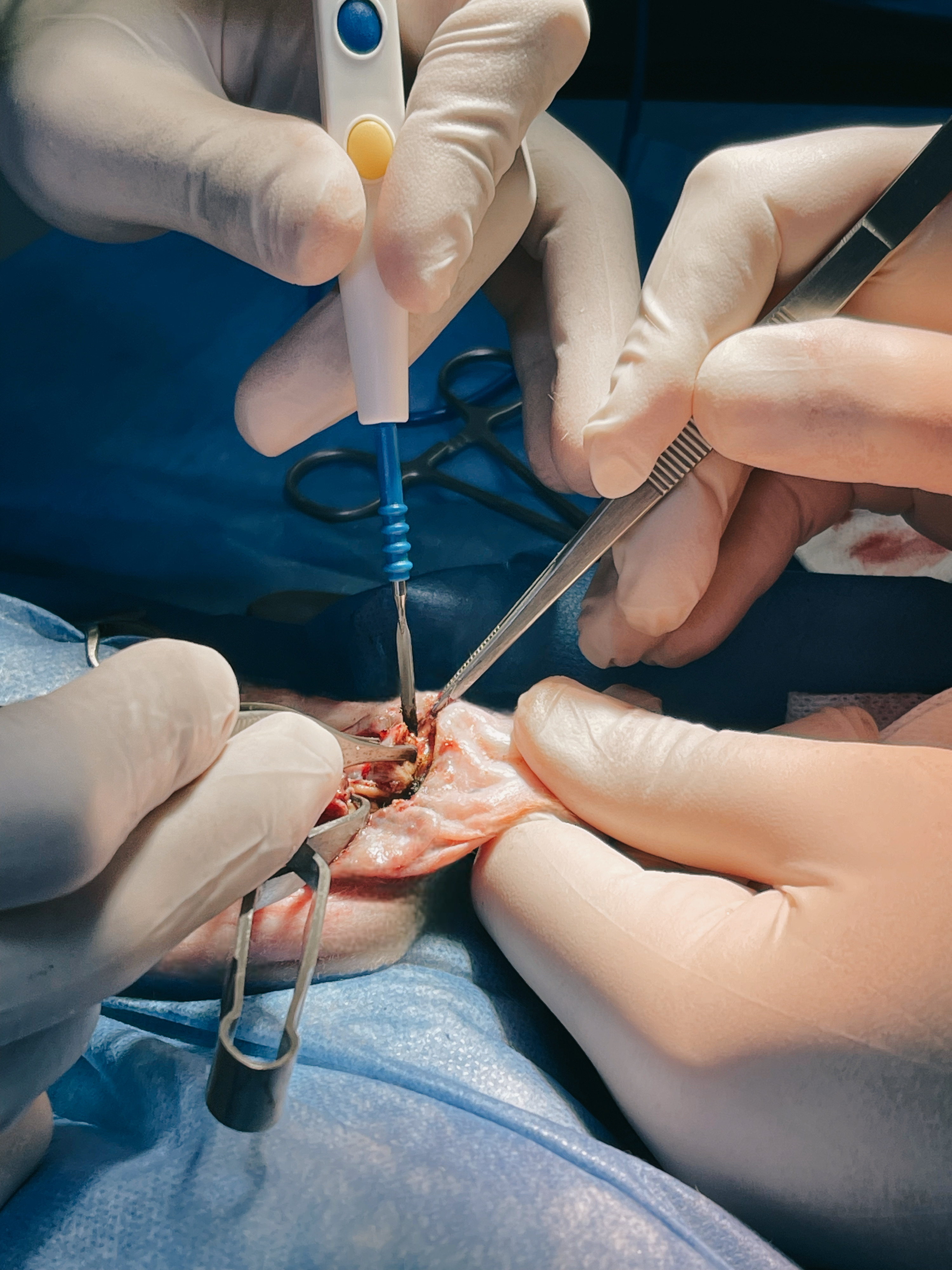 صورة المعرض