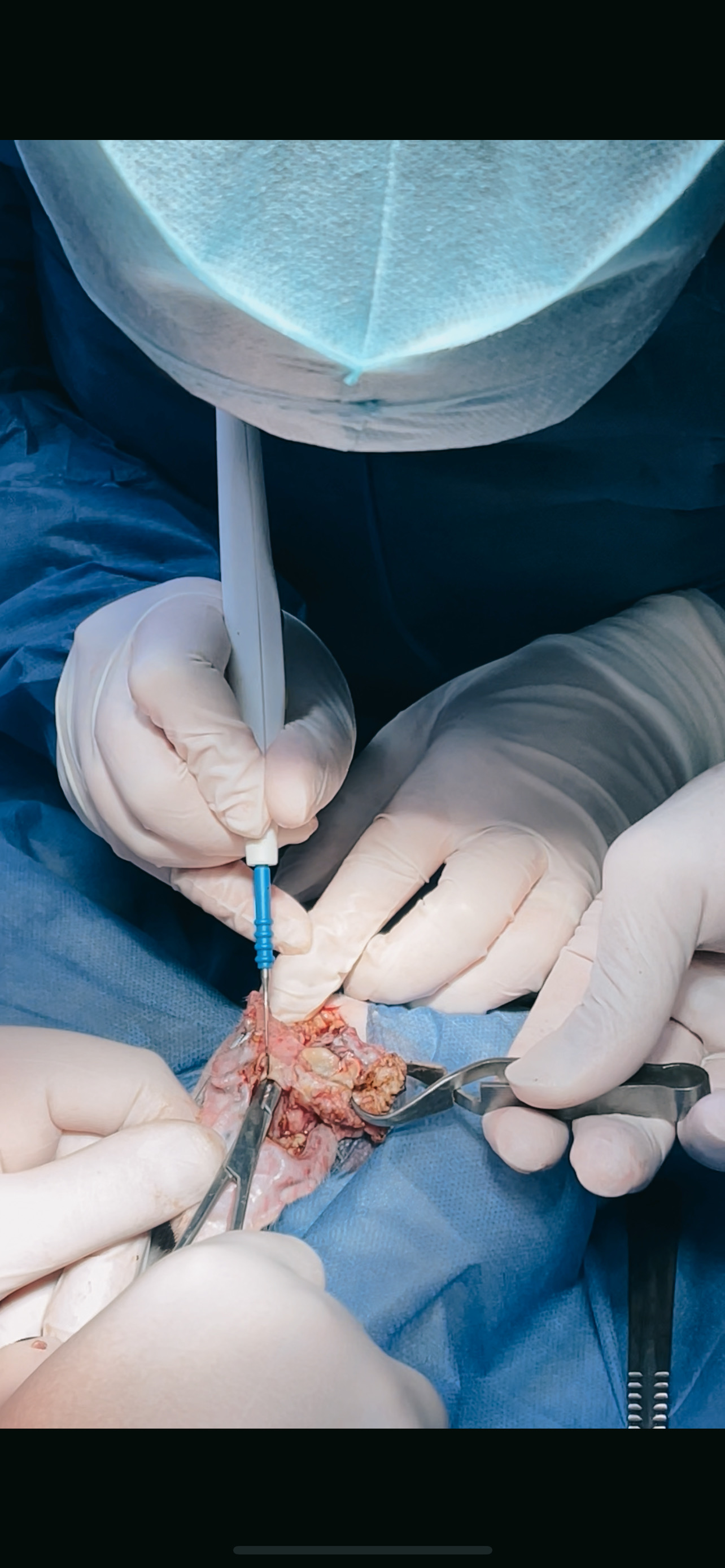 صورة المعرض